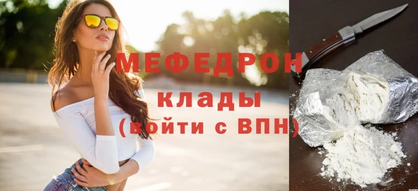хмурый Аркадак
