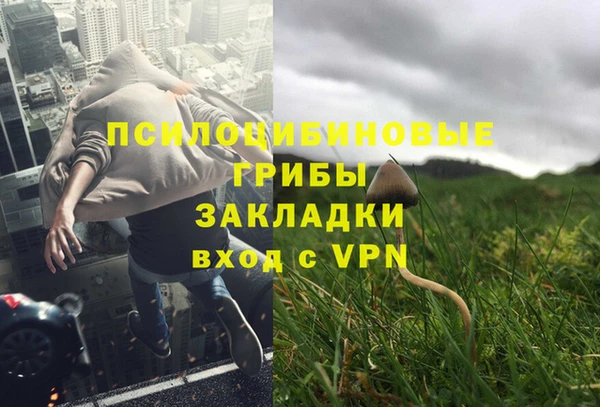 дмт Арсеньев