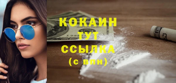 дмт Арсеньев