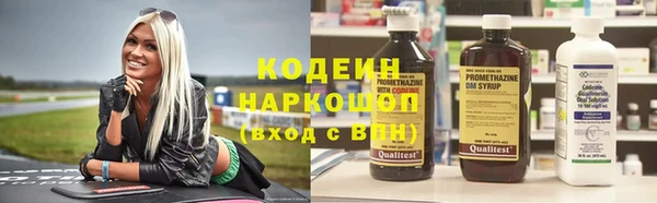 шишки Балахна