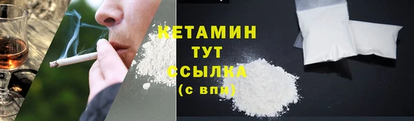 хмурый Аркадак