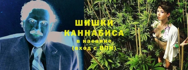 дмт Арсеньев
