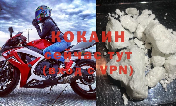 шишки Балахна