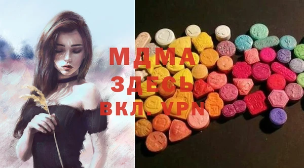 хмурый Аркадак